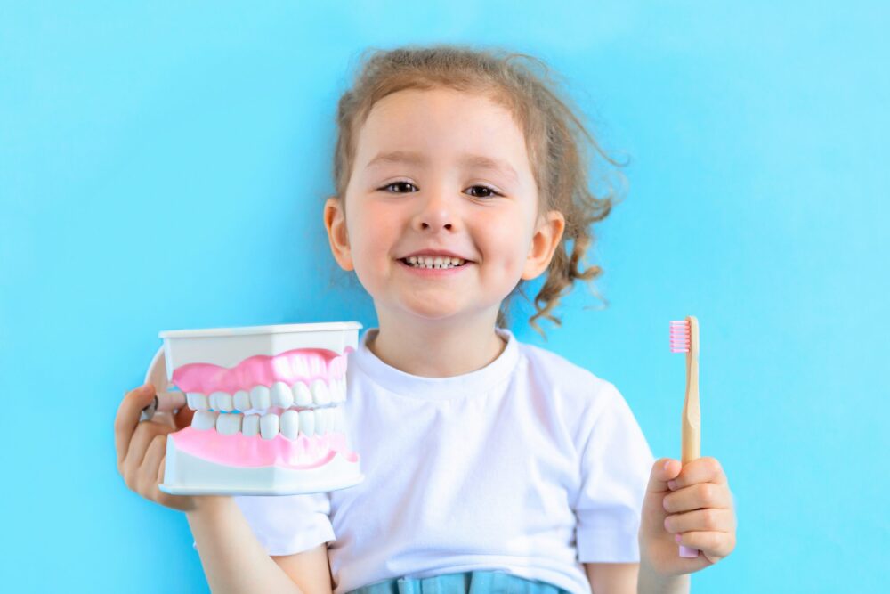 Child holding a dental model during a pediatric dental visit in the St. Louis area.